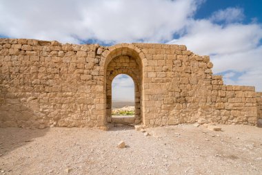 İsrail 'in güneyindeki Negev Çölü' nde, şimdi bir milli park olan antik Nabataean kentinin manzaralı ilkbahar manzarası.