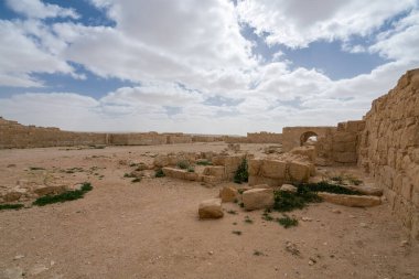 İsrail 'in güneyindeki Negev Çölü' nde, şimdi bir milli park olan antik Nabataean kentinin manzaralı ilkbahar manzarası.