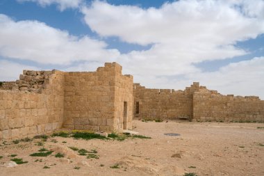 İsrail 'in güneyindeki Negev Çölü' nde, şimdi bir milli park olan antik Nabataean kentinin manzaralı ilkbahar manzarası.