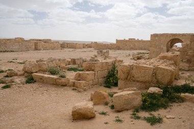 İsrail 'in güneyindeki Negev Çölü' nde, şimdi bir milli park olan antik Nabataean kentinin manzaralı ilkbahar manzarası.