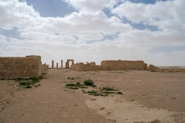 İsrail 'in güneyindeki Negev Çölü' nde, şimdi bir milli park olan antik Nabataean kentinin manzaralı ilkbahar manzarası.