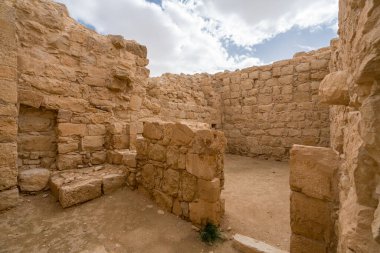 İsrail 'in güneyindeki Negev Çölü' nde, şimdi bir milli park olan antik Nabataean kentinin manzaralı ilkbahar manzarası.