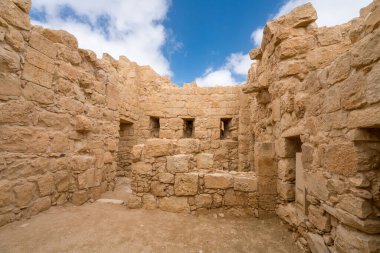İsrail 'in güneyindeki Negev Çölü' nde, şimdi bir milli park olan antik Nabataean kentinin manzaralı ilkbahar manzarası.