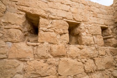İsrail 'in güneyindeki Negev Çölü' nde, şimdi bir milli park olan antik Nabataean kentinin manzaralı ilkbahar manzarası.