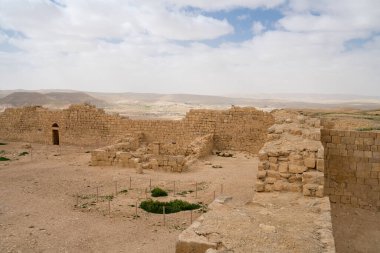 İsrail 'in güneyindeki Negev Çölü' nde, şimdi bir milli park olan antik Nabataean kentinin manzaralı ilkbahar manzarası.