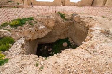 İsrail 'in güneyindeki Negev Çölü' nde, şimdi bir milli park olan antik Nabataean kentinin manzaralı ilkbahar manzarası.