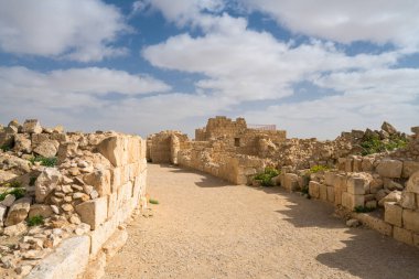 İsrail 'in güneyindeki Negev Çölü' nde, şimdi bir milli park olan antik Nabataean kentinin manzaralı ilkbahar manzarası.