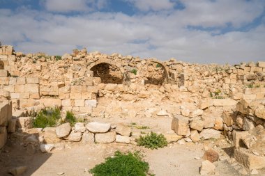İsrail 'in güneyindeki Negev Çölü' nde, şimdi bir milli park olan antik Nabataean kentinin manzaralı ilkbahar manzarası.