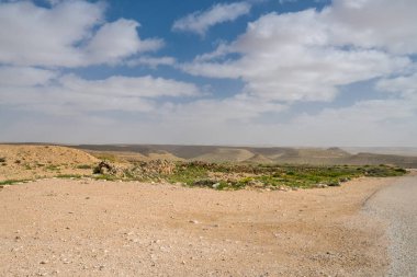 İsrail 'in güneyindeki Negev Çölü' nde, şimdi bir milli park olan antik Nabataean kentinin manzaralı ilkbahar manzarası.