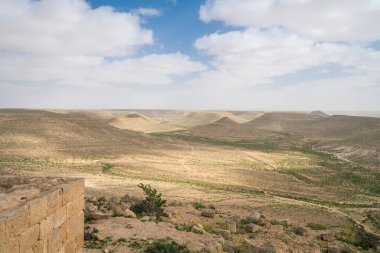 İsrail 'in güneyindeki Negev Çölü' nde, şimdi bir milli park olan antik Nabataean kentinin manzaralı ilkbahar manzarası.