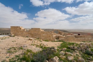 İsrail 'in güneyindeki Negev Çölü' nde, şimdi bir milli park olan antik Nabataean kentinin manzaralı ilkbahar manzarası.
