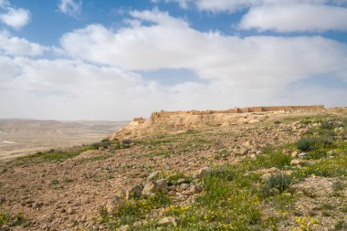 İsrail 'in güneyindeki Negev Çölü' nde, şimdi bir milli park olan antik Nabataean kentinin manzaralı ilkbahar manzarası.