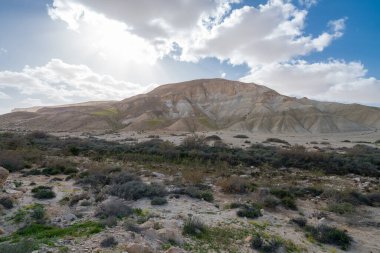 İsrail 'in güneyindeki Negev Çölü' nde Avdat Kanyonu (Ein Avdat) ve Kibbutz Sde Boker 'in manzaralı bahar manzarası.
