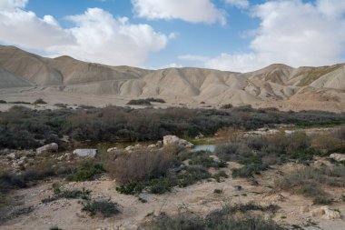 İsrail 'in güneyindeki Negev Çölü' nde Avdat Kanyonu (Ein Avdat) ve Kibbutz Sde Boker 'in manzaralı bahar manzarası.