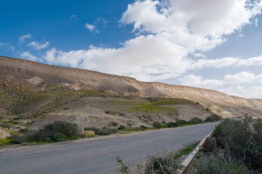 İsrail 'in güneyindeki Negev Çölü' nde Avdat Kanyonu (Ein Avdat) ve Kibbutz Sde Boker 'in manzaralı bahar manzarası.