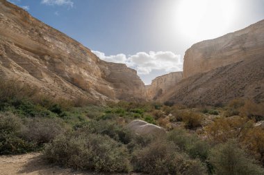İsrail 'in güneyindeki Negev Çölü' nde Avdat Kanyonu (Ein Avdat) ve Kibbutz Sde Boker 'in manzaralı bahar manzarası.