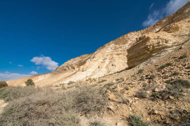 İsrail 'in güneyindeki Negev Çölü' nde Avdat Kanyonu (Ein Avdat) ve Kibbutz Sde Boker 'in manzaralı bahar manzarası.
