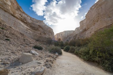 İsrail 'in güneyindeki Negev Çölü' nde Avdat Kanyonu (Ein Avdat) ve Kibbutz Sde Boker 'in manzaralı bahar manzarası.
