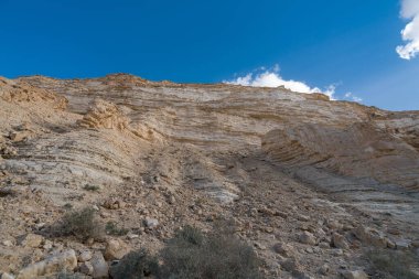 İsrail 'in güneyindeki Negev Çölü' nde Avdat Kanyonu (Ein Avdat) ve Kibbutz Sde Boker 'in manzaralı bahar manzarası.