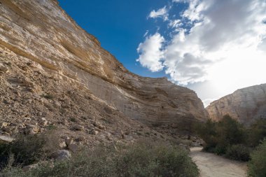 İsrail 'in güneyindeki Negev Çölü' nde Avdat Kanyonu (Ein Avdat) ve Kibbutz Sde Boker 'in manzaralı bahar manzarası.