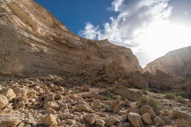 İsrail 'in güneyindeki Negev Çölü' nde Avdat Kanyonu (Ein Avdat) ve Kibbutz Sde Boker 'in manzaralı bahar manzarası.