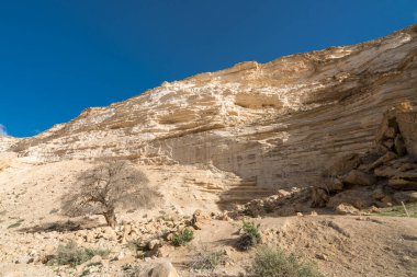 İsrail 'in güneyindeki Negev Çölü' nde Avdat Kanyonu (Ein Avdat) ve Kibbutz Sde Boker 'in manzaralı bahar manzarası.