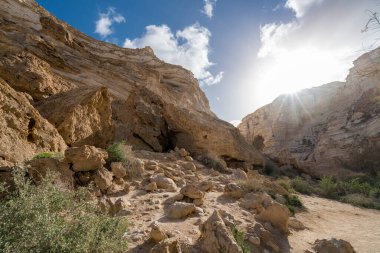 İsrail 'in güneyindeki Negev Çölü' nde Avdat Kanyonu (Ein Avdat) ve Kibbutz Sde Boker 'in manzaralı bahar manzarası.