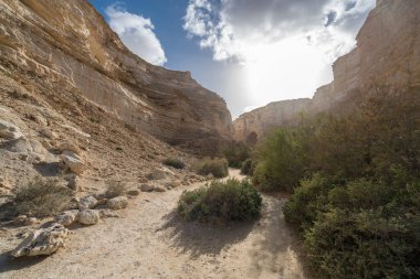 İsrail 'in güneyindeki Negev Çölü' nde Avdat Kanyonu (Ein Avdat) ve Kibbutz Sde Boker 'in manzaralı bahar manzarası.