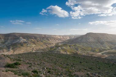İsrail 'in güneyindeki Negev Çölü' nde, şimdi ulusal bir park olan harap olmuş Antik Nabataean şehri Avdat 'ın hava panoramik bahar manzarası.