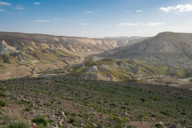 İsrail 'in güneyindeki Negev Çölü' nde, şimdi ulusal bir park olan harap olmuş Antik Nabataean şehri Avdat 'ın hava panoramik bahar manzarası.