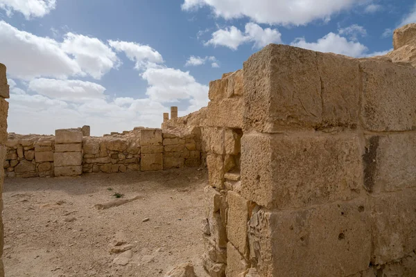 Vista Panoramica Primaverile Dell Antica Città Nabatea Rovina Avdat Ora — Foto Stock