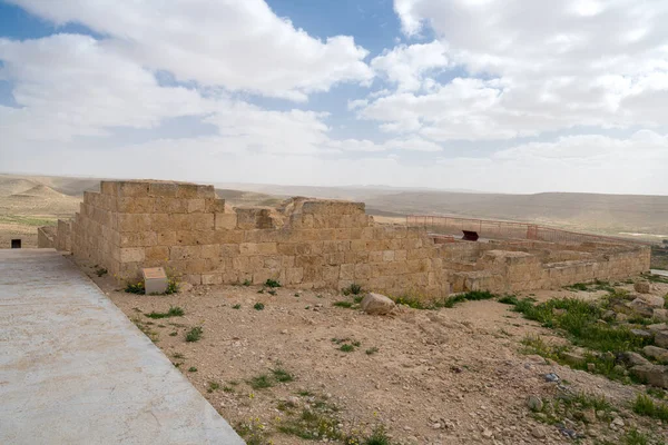 Vista Panorámica Primavera Antigua Ciudad Nabatea Ruinas Avdat Ahora Parque —  Fotos de Stock