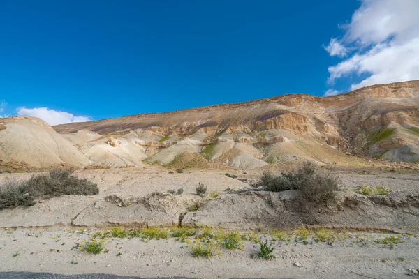 以色列南部内盖夫沙漠中的Avdat峡谷 Ein Avdat 和Kibbutz Sde Boker的风景春景 — 图库照片