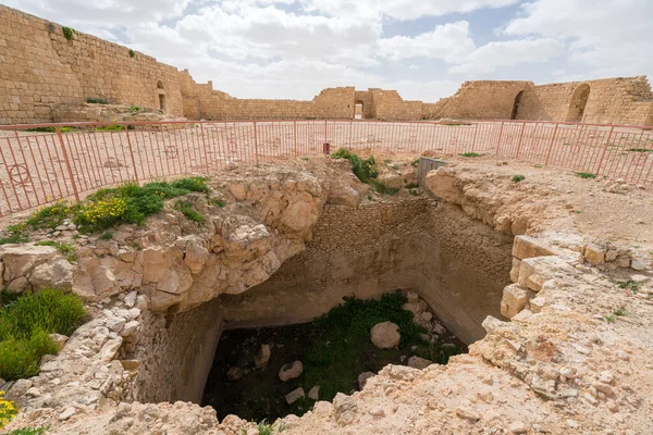Landschappelijk Voorjaarsuitzicht Verwoeste Oude Nabatese Stad Avdat Een Nationaal Park Rechtenvrije Stockafbeeldingen