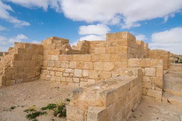 Landschappelijk Voorjaarsuitzicht Verwoeste Oude Nabatese Stad Avdat Een Nationaal Park Stockafbeelding