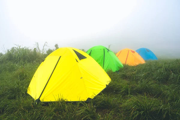 Trekking Tenten Groen Gras Mist Bij Doi Suan Luang District — Stockfoto