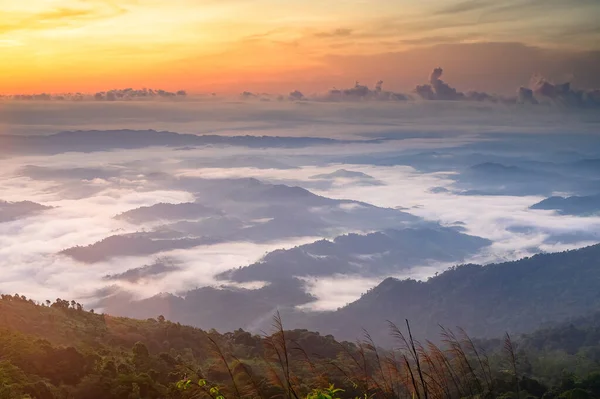 Sonnenaufgang Hinter Den Bergen Mit Nebelmeer Auf Dem Gipfel Des — Stockfoto