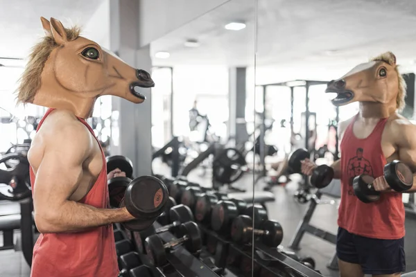 Caballo Cara Hombre Entrenamiento Levantamiento Pesas Gimnasio Mirando Reflejo Espejo — Foto de Stock