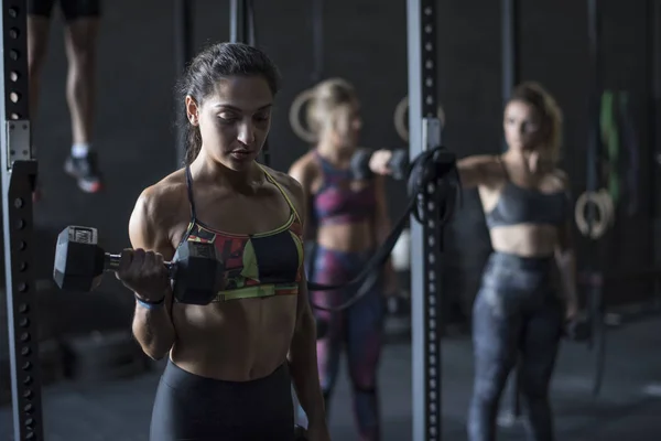 Women training biceps in gym with ambient light