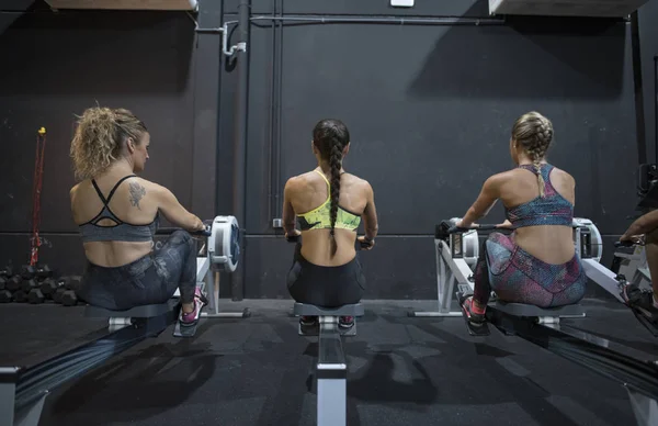 Women Training Rowing Gym Exercises Machines Pull Rope — Stock Photo, Image