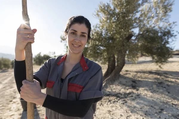  Zeytin toplamaya çalışırken kameraya bakan kadın