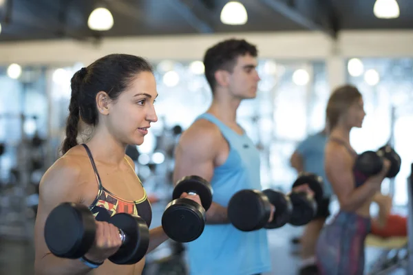 Grupo Personas Entrenando Bíceps Gimnasio — Foto de Stock