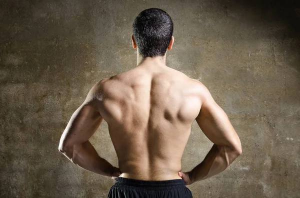 Jovem homem muscular de volta retrato — Fotografia de Stock