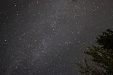 uzayda samanyolu, yıldızlı gökyüzü