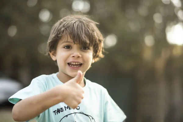 Liten Tre Gammal Pojke Sommaren Eftermiddag — Stockfoto