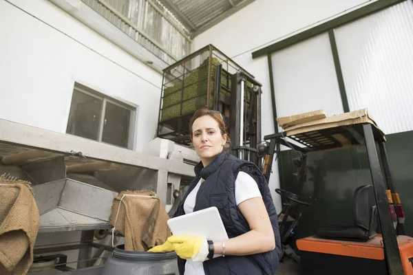 Mujer Trabajadora Fábrica Procesamiento Alimentos Aire Libre Mirando Cámara Aceitunas — Foto de Stock