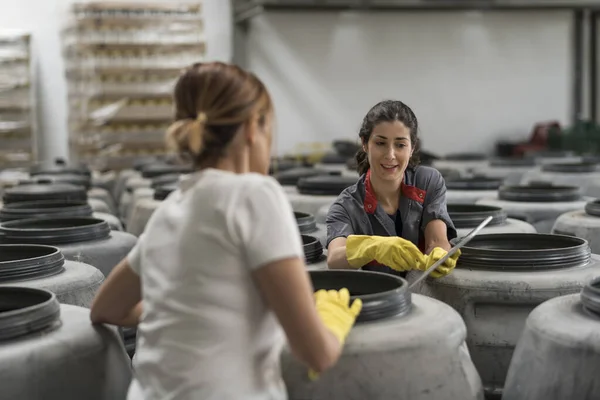 Mujeres Controlando Fermentación Aceitunas Barriles — Foto de Stock