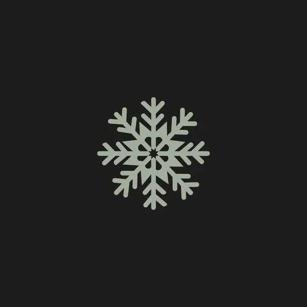 Ilustración Colorida Del Vector Del Copo Nieve — Vector de stock