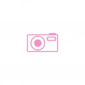 minimalistická vektorová ikona fotoaparátu