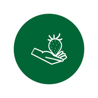 İştah açıcı çilek el vektör çizim